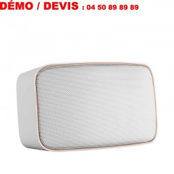 DALI GARDIAN OW-6 enceinte extérieure murale IP67 (pièce)