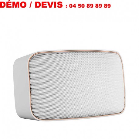 DALI GARDIAN OW-6 enceinte extérieure murale IP67 (pièce)