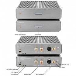 Burson Timekeeper GT4 Version Max : paire d'amplificateurs de puissance stéréo classe A