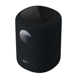 WiiM Sound  Display : enceinte intelligente hi-fi