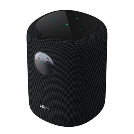 WiiM Sound  Display : enceinte intelligente hi-fi