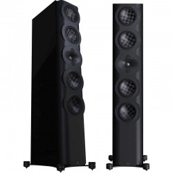 Perlisten S7t noires paire d’occasion en parfait état