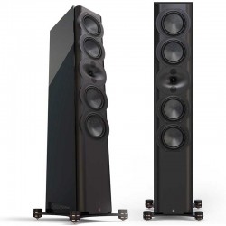 Perlisten R7t noires paire d’occasion en parfait état