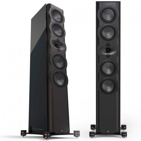 Perlisten R7t noires paire d’occasion en parfait état