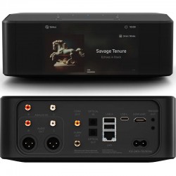 Bluesound Node Icon N530 lecteur réseau dual DAC